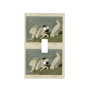 Rock and White-tailed Ptarmigan - Audubon's Birds Light Switch Cover