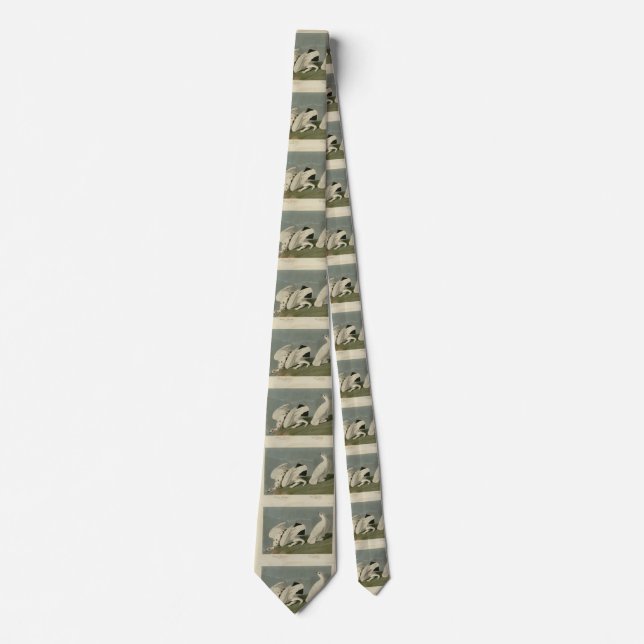 Rock and White-tailed Ptarmigan - Audubon's Birds Neck Tie (Front)