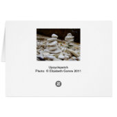 Rock Balancing Cards (Back Horizontal)