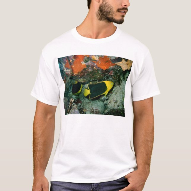 Rock Beauties T-Shirt (Front)
