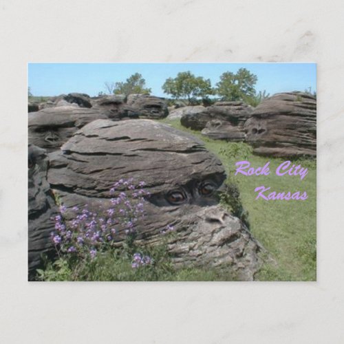 Rock City Kansas Postcard