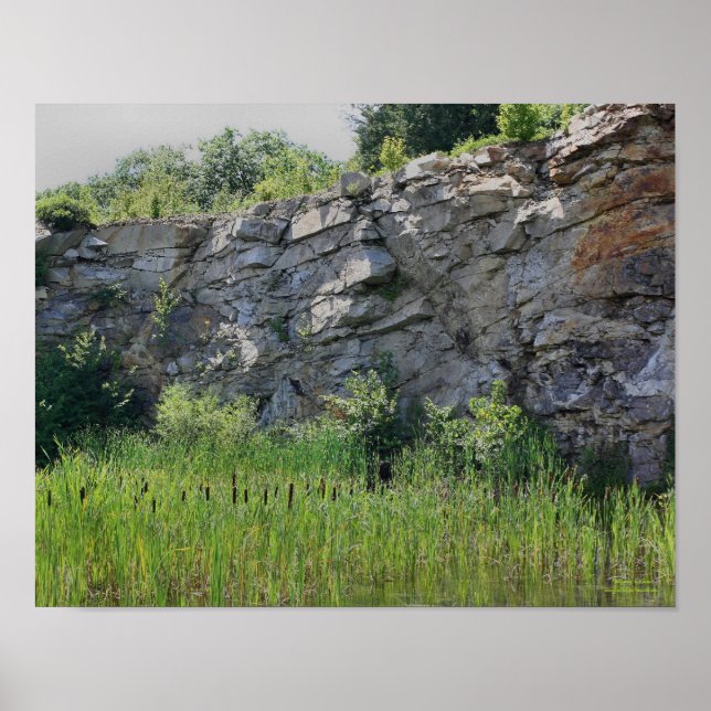 Rock Cliff Wall Cattails Pond Nature Poster (Front)