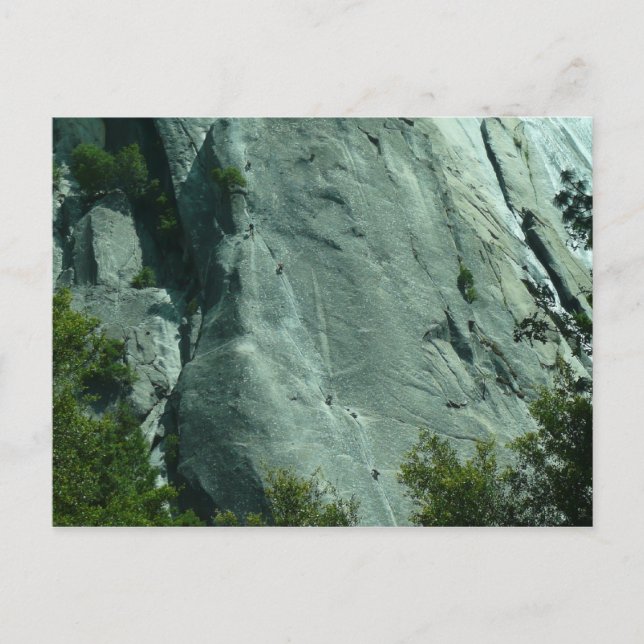 Rock Climbers on El Capitan Postcard (Front)