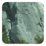 Rock Climbers on El Capitan Square Sticker