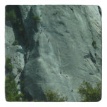 Rock Climbers on El Capitan Trivet