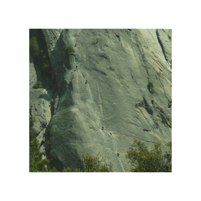 Rock Climbers on El Capitan Wood Wall Art (Front)