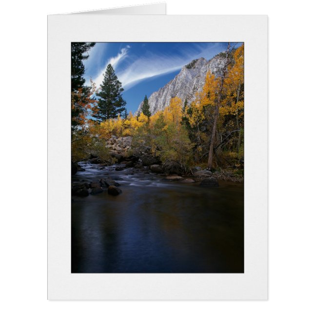 "Rock Creek Canyon Gold" Cards (Front)