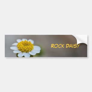 Rock Daisy Bumper Sticker