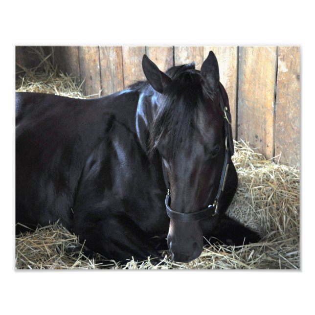 Rock Fall by Speightstown - Renda Photo Print (Front)