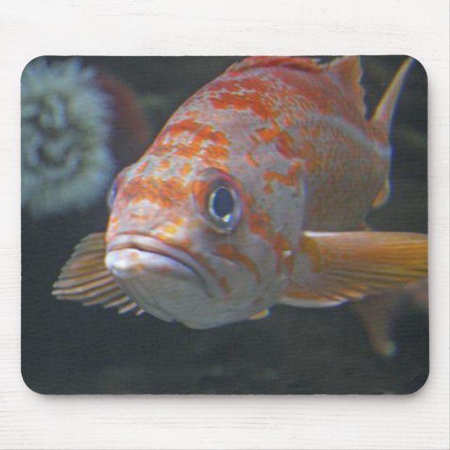 Rock Fish Mouse Pad (Front)