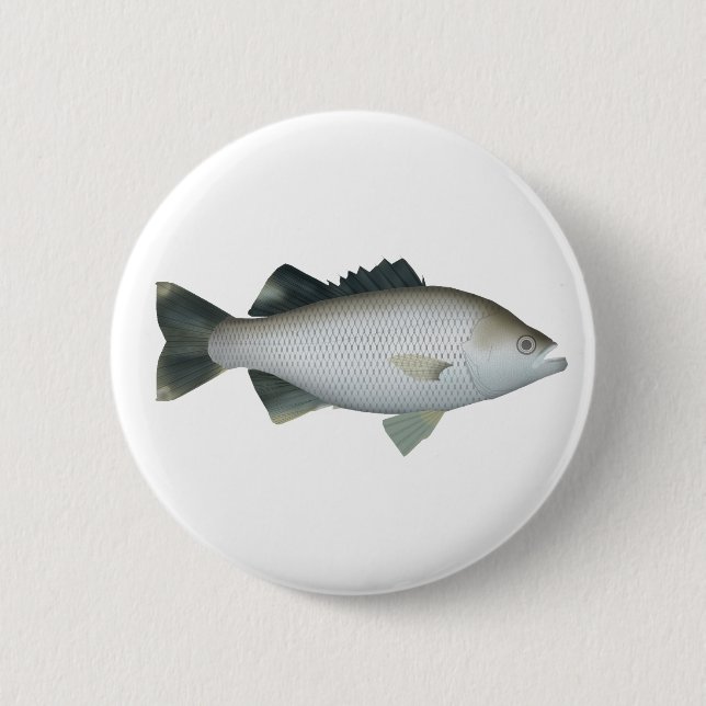 Rock Flagtail Button (Front)