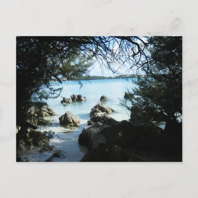 Rock formation at the Grotto Bay Postcard (Front)