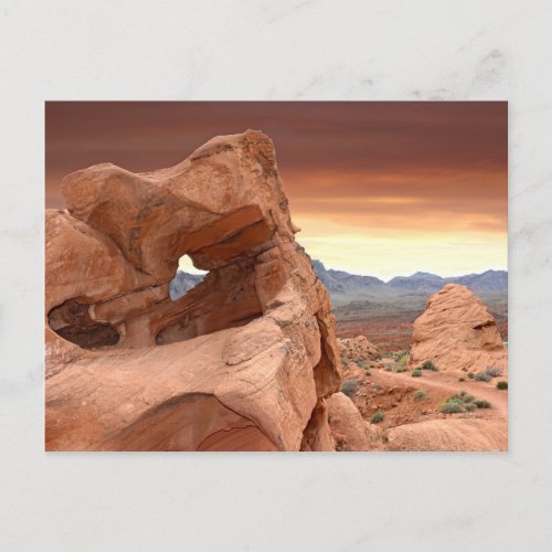 Rock Formations Valley of Fire State Park Nevada Postcard