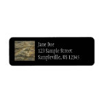 Rock from Joshua Tree Abstract Nature Label