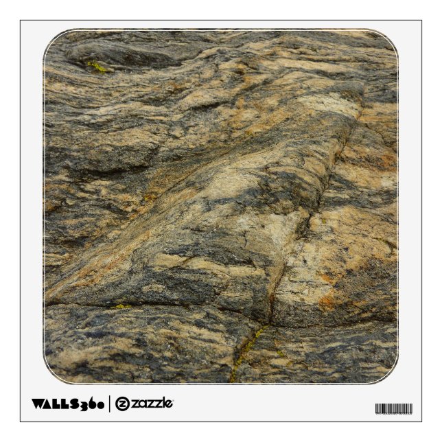 Rock from Joshua Tree Abstract Nature Photography Wall Decal (Front)