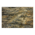 Rock from Joshua Tree Abstract Nature Poster