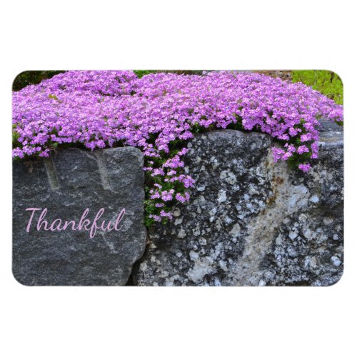 Rock Garden Gratitude Magnet