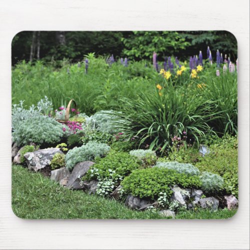 Rock Garden Pink Dianthus Lupine Silver Mound Mouse Pad