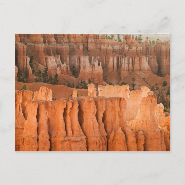 Rock Garden Postcard (Front)