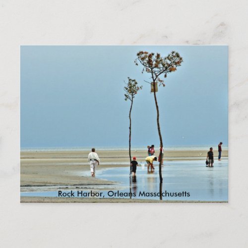 Rock Harbor Orleans Massachusetts Postcard