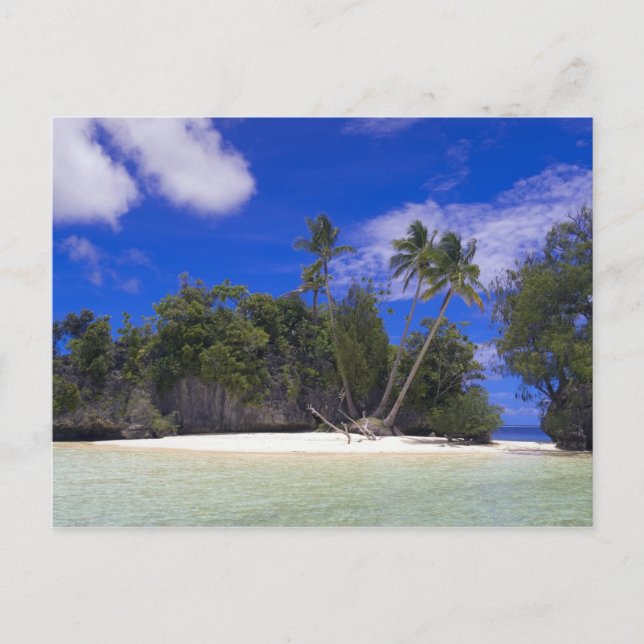 Rock Islands Palau Postcard (Front)