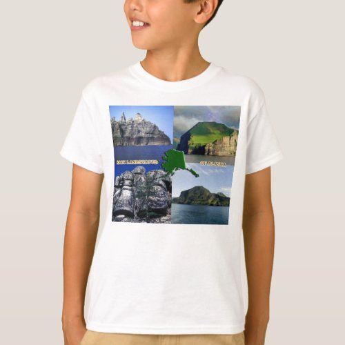 Rock Landscapes of Alaska Collage T_Shirt
