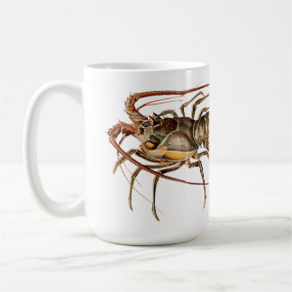 Rock Lobster - Panulirus Regis Coffee Mug