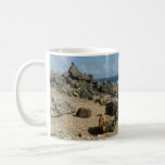 Rock Monuments on Aruban Coast Coffee Mug