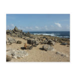 Rock Monuments on Aruban Coast Postcard