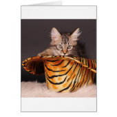 Rock n' Roll Kitty (Front)