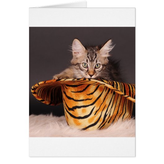 Rock n' Roll Kitty Cards (Front)