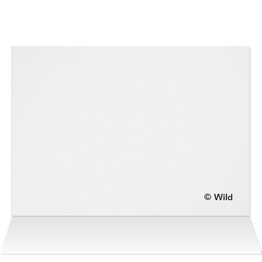 Rock On (Inside Horizontal (Top))