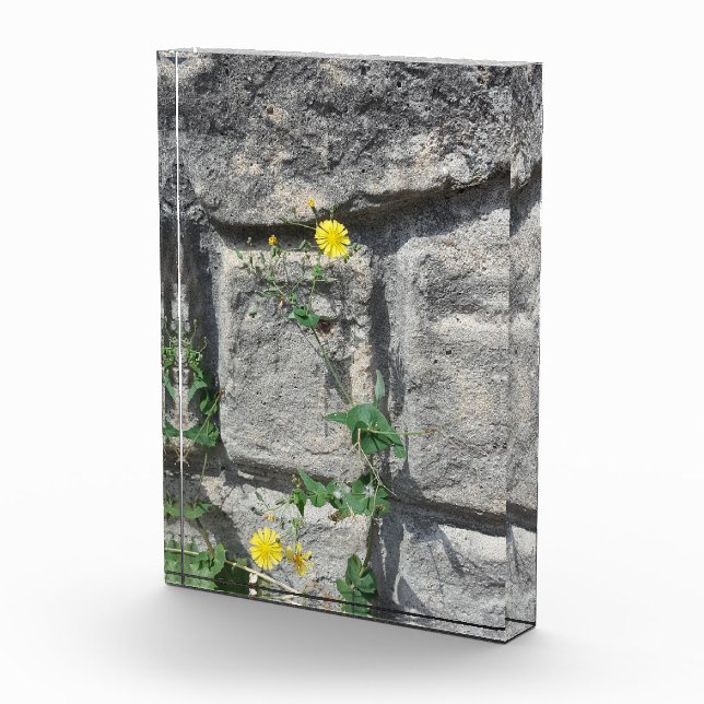 Rock on the flower photo block (Right)