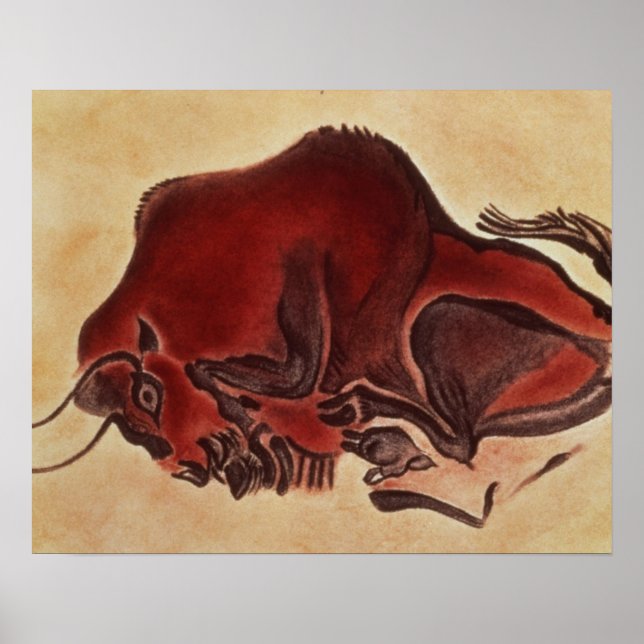 Rock painting of a bison, late Magdalenian Poster (Front)