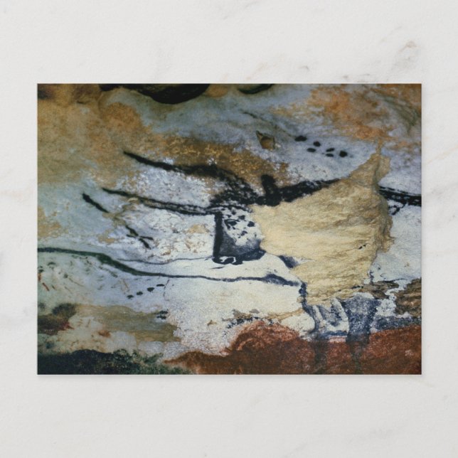 Rock painting of a bull with long horns postcard (Front)