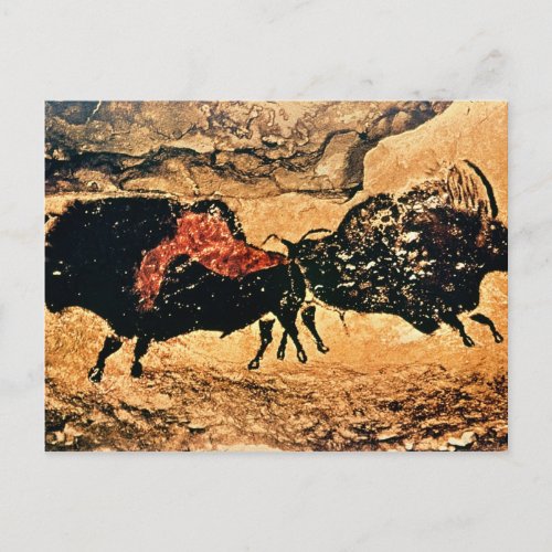 Rock painting of bison c17000 BC Postcard