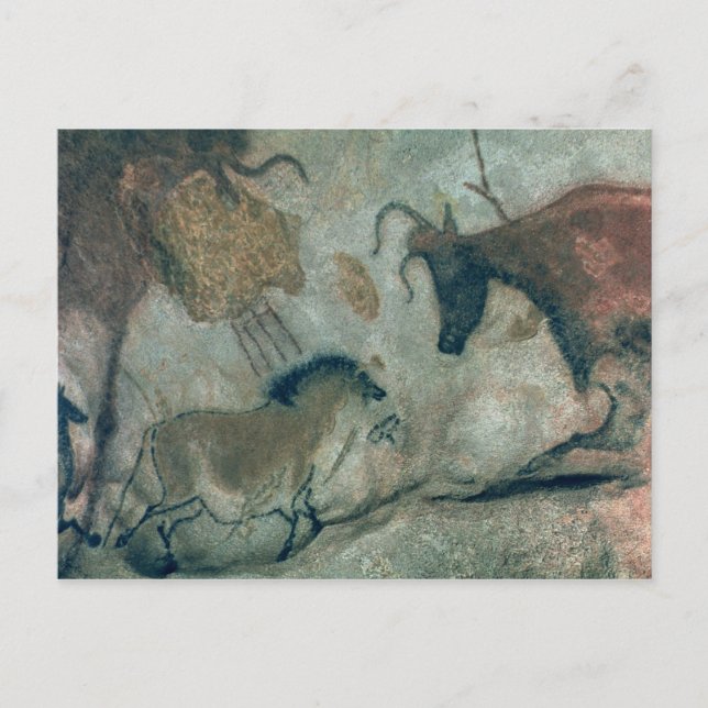 Rock painting showing a horse and a cow, c.17000 B Postcard (Front)