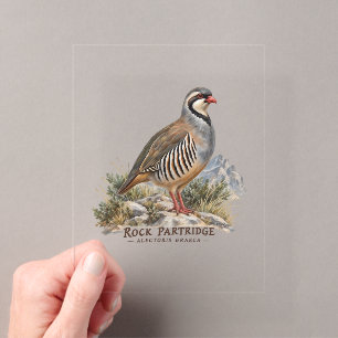 Rock Partridge ,Alectoris Graeca Hunting Birds Acrylic Enclosure Card