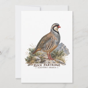 Rock Partridge ,Alectoris Graeca Hunting Birds Invitation