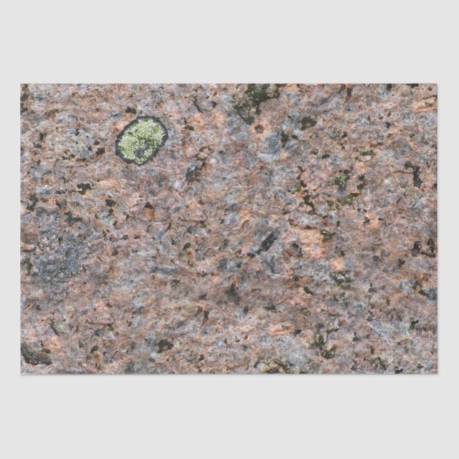 Rock Photo Geology Texture with Moss Tissue Paper (Front)