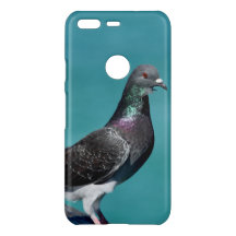 Rock Pigeon Google Phone Cases