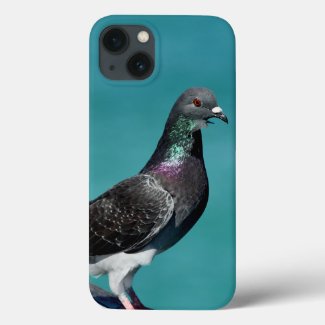 Rock Pigeon iPhone Cases