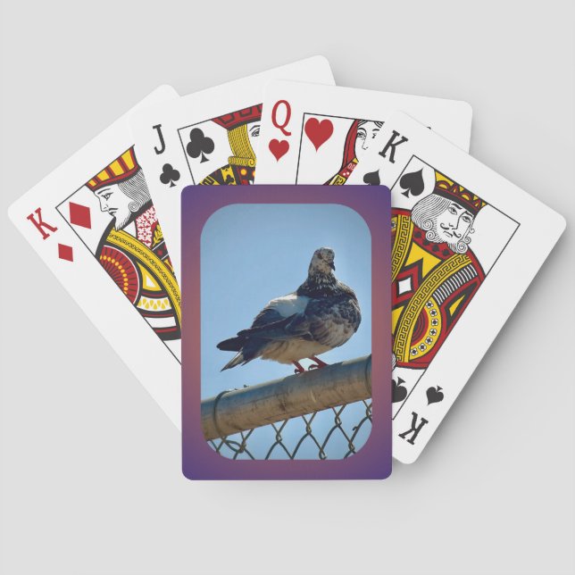 Rock Pigeon Poker Cards (Back)