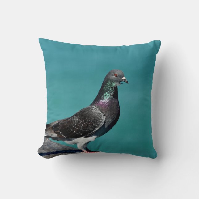 Rock Pigeon Throw Pillow (Front)