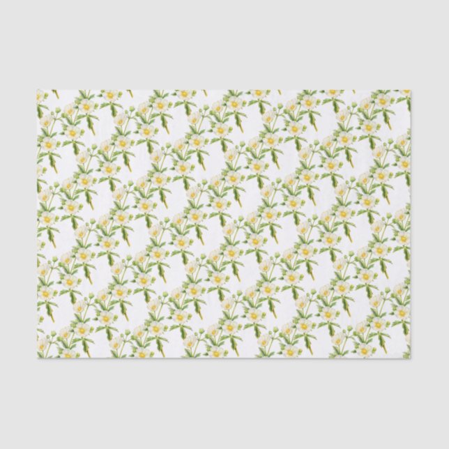 Rock rose art floral white tissue paper (Front)