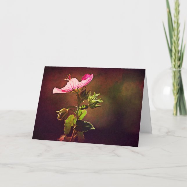 Rock Rose Bible Verse Card Isaiah 60 (Front)