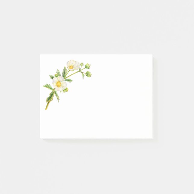 Rock rose white flowers art post it notes (Front)