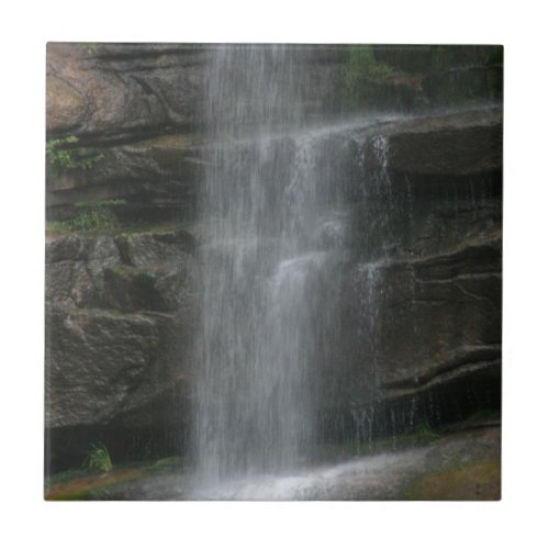 Rock Shelf Waterfall Tile