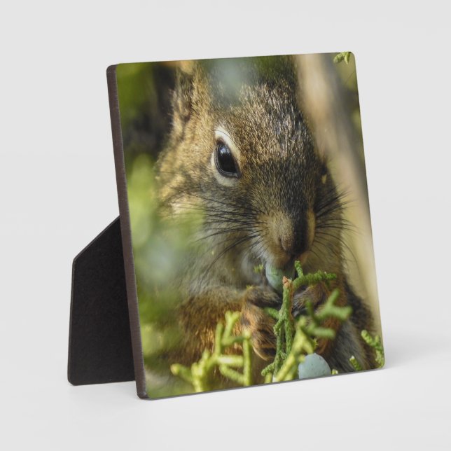 Rock Squirrel Desktop Plaque (Front)
