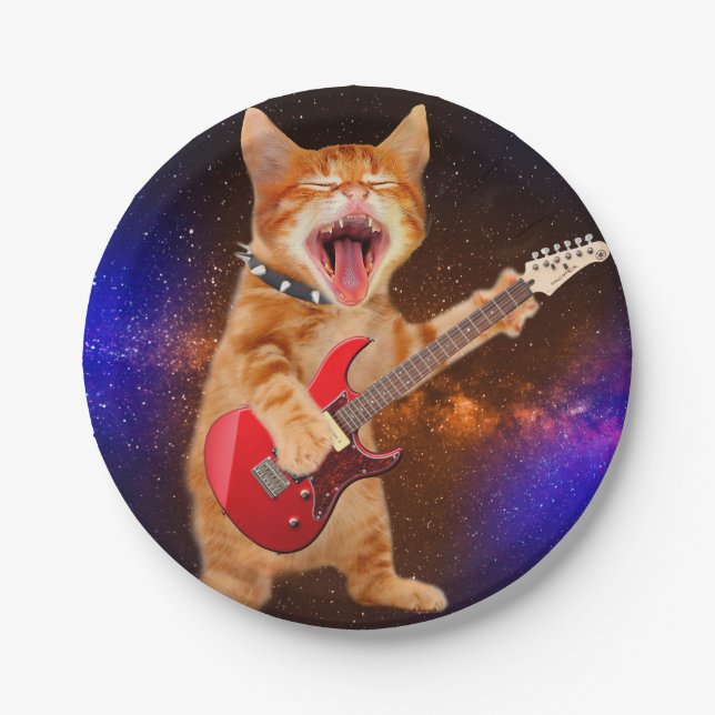 Rock star cat paper plates (Front)